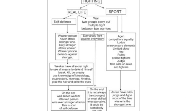Violence, sport and martial art understanding.