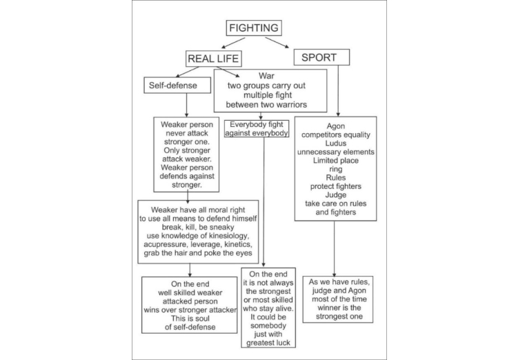 Violence, sport and martial art understanding.