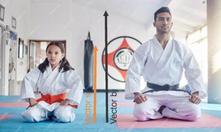 Kata understanding is possible only with interdisciplinary approach.