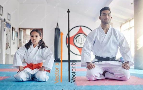 Kata understanding is possible only with interdisciplinary approach.