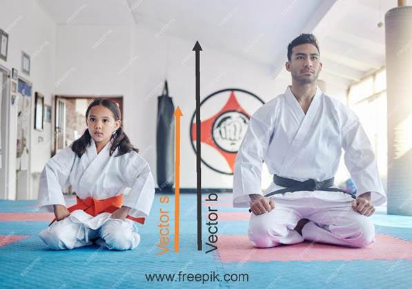 Kata understanding is possible only with interdisciplinary approach.